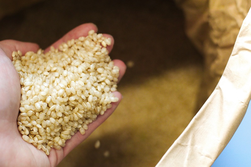 酒米だけで100種類超！食べるお米との違いを徹底解説