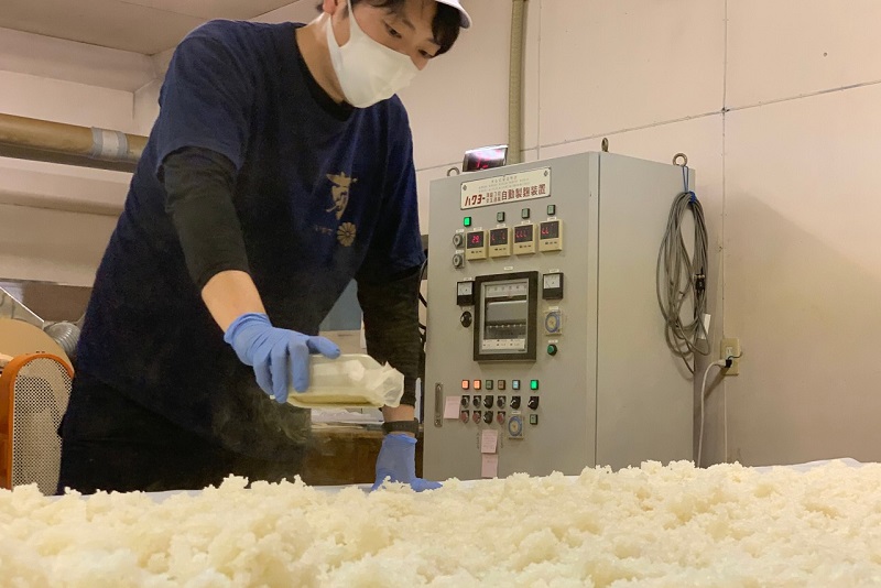 麹の色が酒を左右する?「黄麹」「黒麹」「白麹」のはなし